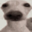 FrostByte