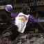 Suns Gorilla