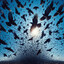 One Thoused Goddamn Ravens