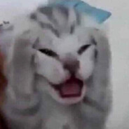 MarTyr - steam id 76561199127317378