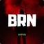 BrN_Fps