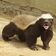 Zinvek - steam id 76561199165942016