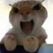 能源城第一高手