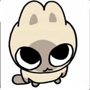 ！！！CAT！！！