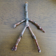 Der Zweig der Zwitracht