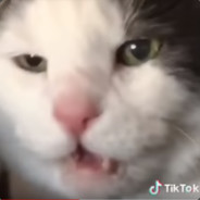 Ryl0werAleJakožeDruhýÚčet