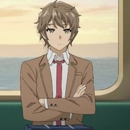 标准碳酸氢盐参上