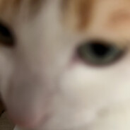 除了灭火啥也不干