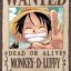 Monkey D Luffy