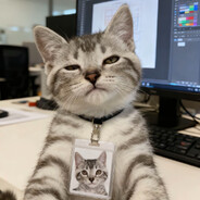 小猫手搓核弹引爆地球