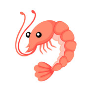 shrimp