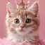 pink catty