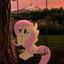 Little pony