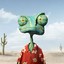 Rango