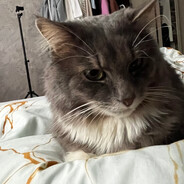 гансальвес - steam id 76561198423598767