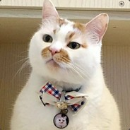 我今天跟你拼了