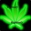 BigWeeD