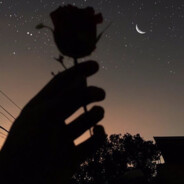 Avatar of ңEңÄвÜçTѣ