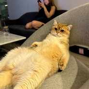 Grubex - steam id 76561198808435476