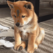 浑元形意太极门掌门人