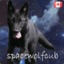 spacewolfcub