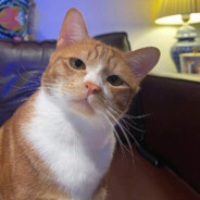 I'm Back After 4 Year