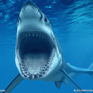 灵机一动，天胡转弟弟