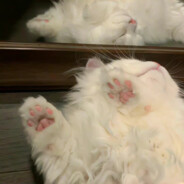 超级无敌狂暴小饼干