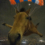 Horse that doesn't stop