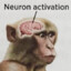 Neuron activation