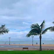 见过花开就好了