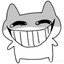 VNC4