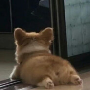 你看天上有颗星