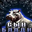 DJ Арбуз