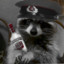 Comrade Raccoon