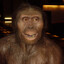 Australopithecus