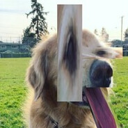 :D