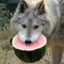 SnerW's avatar