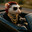 Lil Stuart