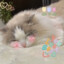 猫叔
