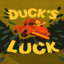 Ducks Luck