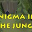 enigma in the jungle