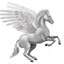 Pegasus♞