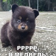 tastydrop.ru_I'm not a cheater