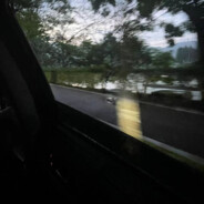 翻斗花园英俊哥