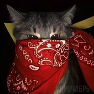 iluaP amusoääP - steam id 76561198277504898