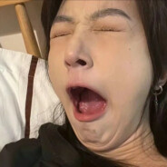 叫窝懒羊羊大王