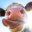 Mucia_373