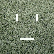 🌺戴夫的玉米卷🌺