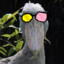 BaggesMclovin
